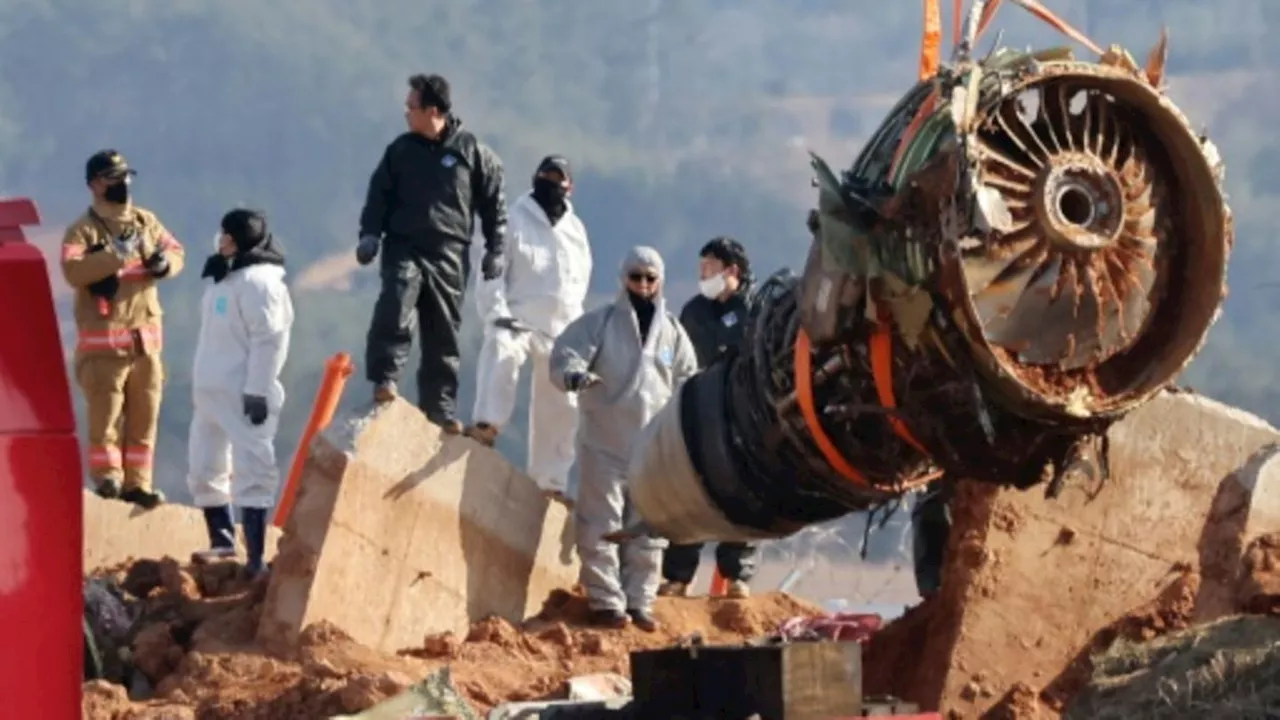 Bergen von Flugzeugwrack nach Flugunlück in Südkorea begonnen