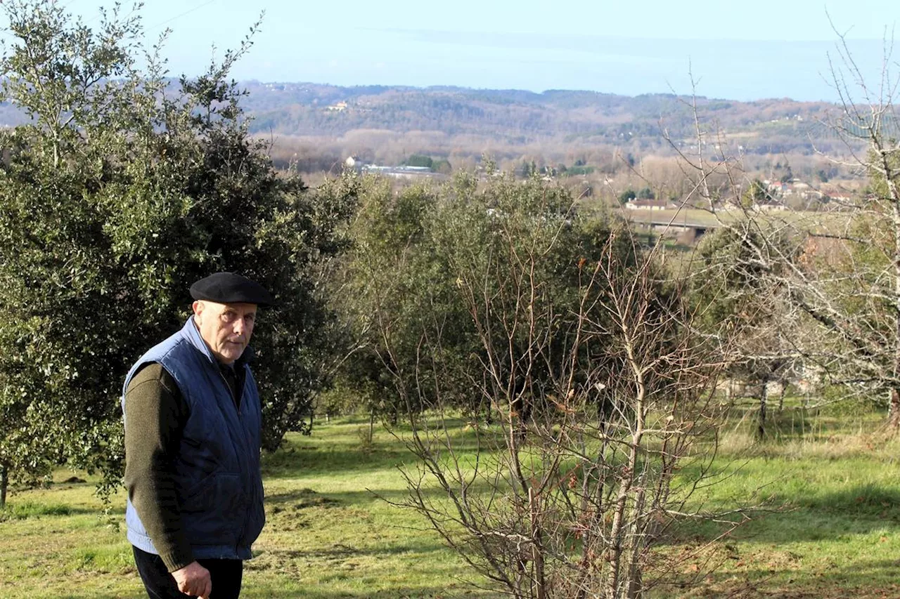 Montrem : trufficulteur depuis trente ans, il essaye de faire face au changement climatique