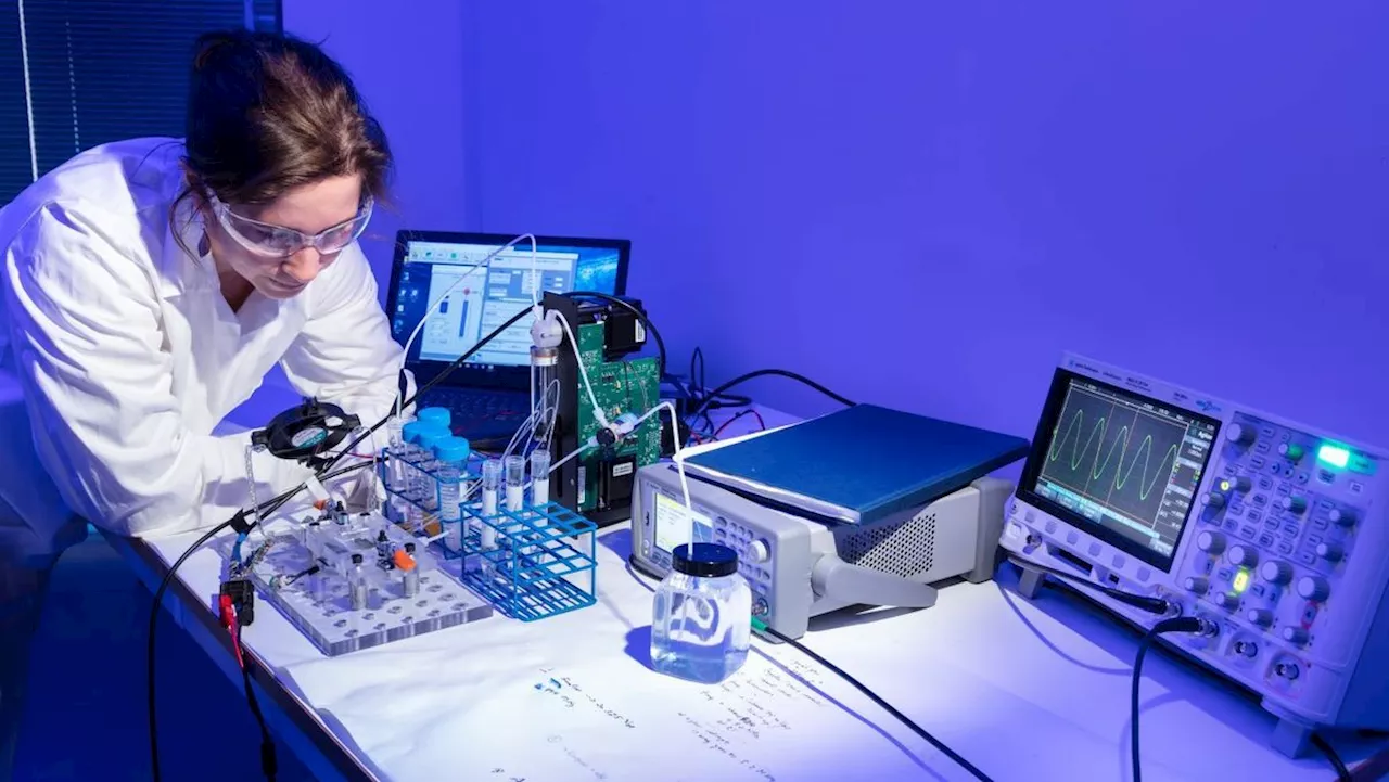 Minilaboratorier Bringer Raskere Diagnoser