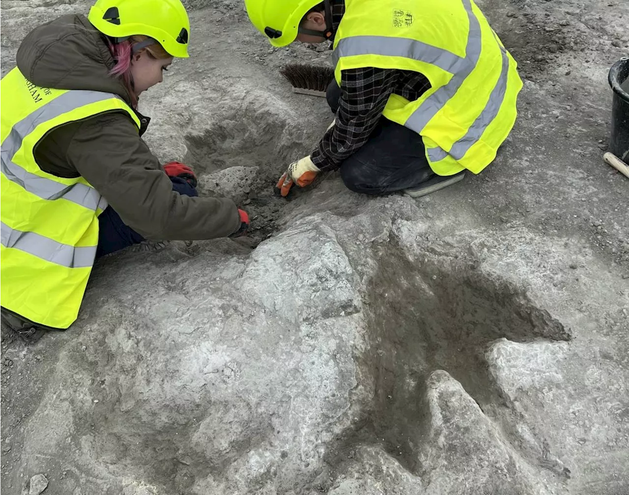 200 Dinosaur Footprints Unearthed in UK Quarry