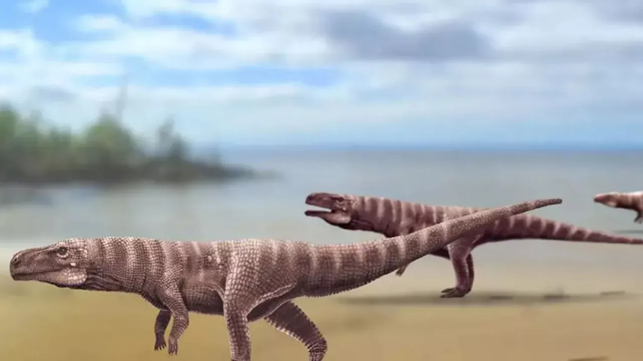 Ancient Two-Legged Crocodile Discovered from Footprints