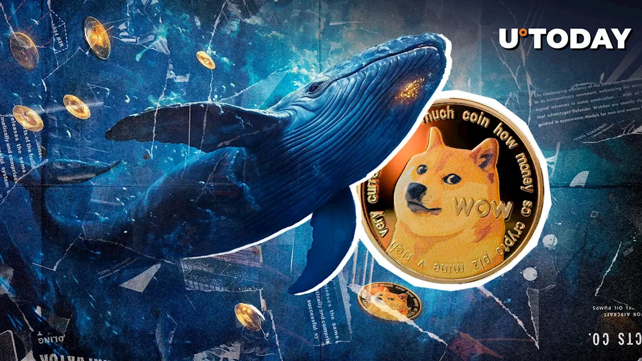 DOGE Whales Trigger Price Rebound with Massive Transactions