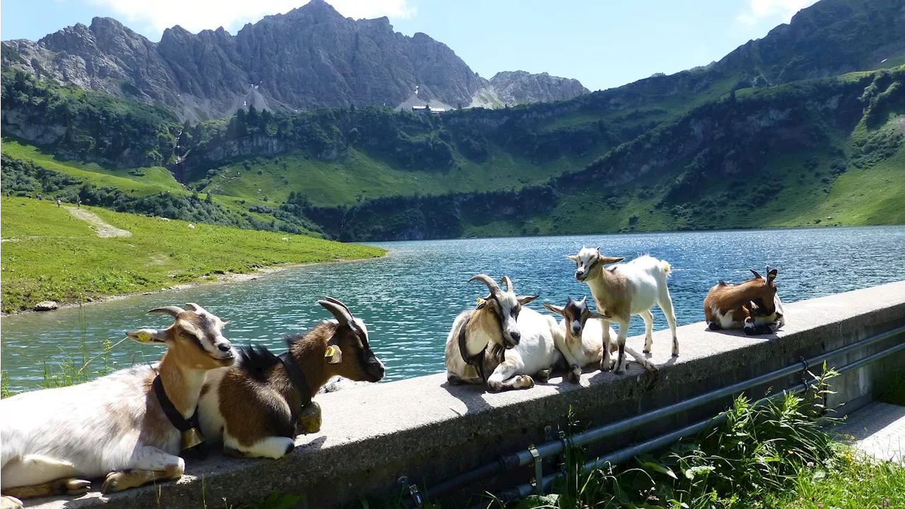 Gästekarte Tirol: Ihr Schlüssel zu einem unvergesslichen Urlaub