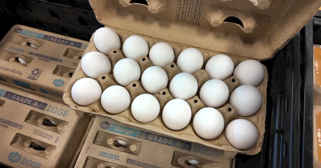 Rising Egg Prices in Indiana, Driven by Operational Costs, Not Bird Flu