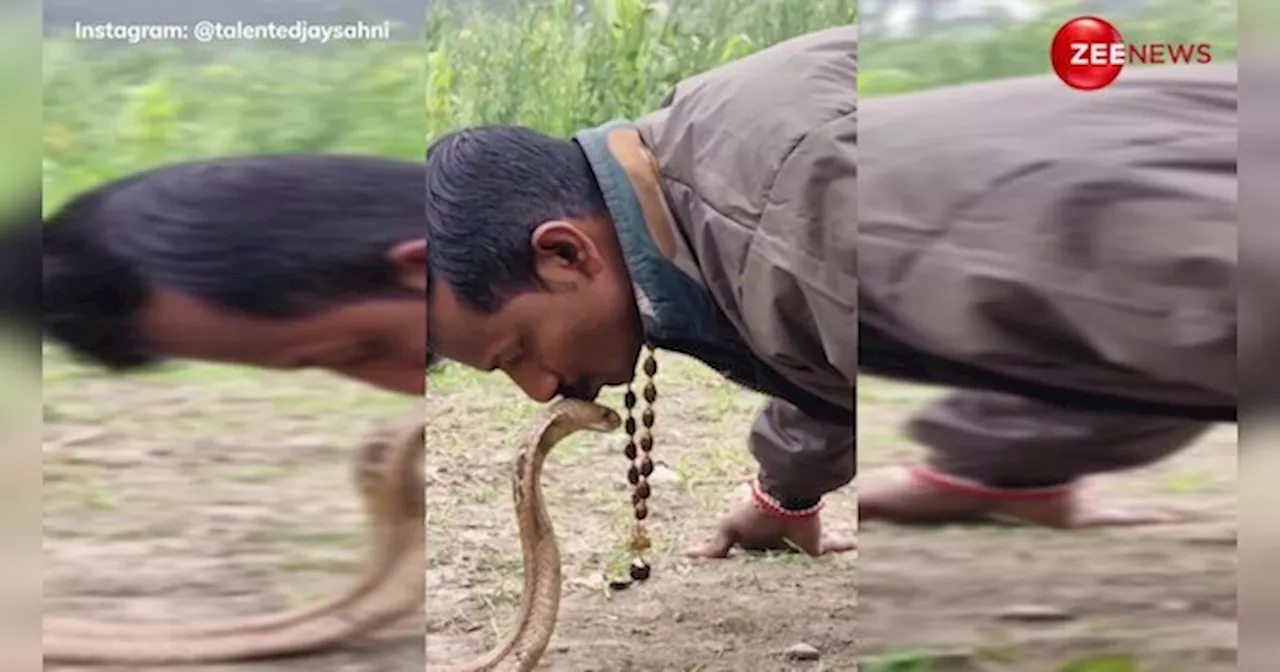 कोबरा को चूमा शख्स, सांप ने क्या किया?