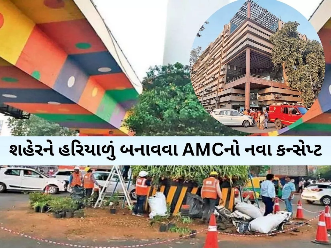 અમદાવાદમાં શહેરને હરિયાળું બનાવવા વર્ટિકલ ગાર્ડનનો નવો કન્સેપ્ટ