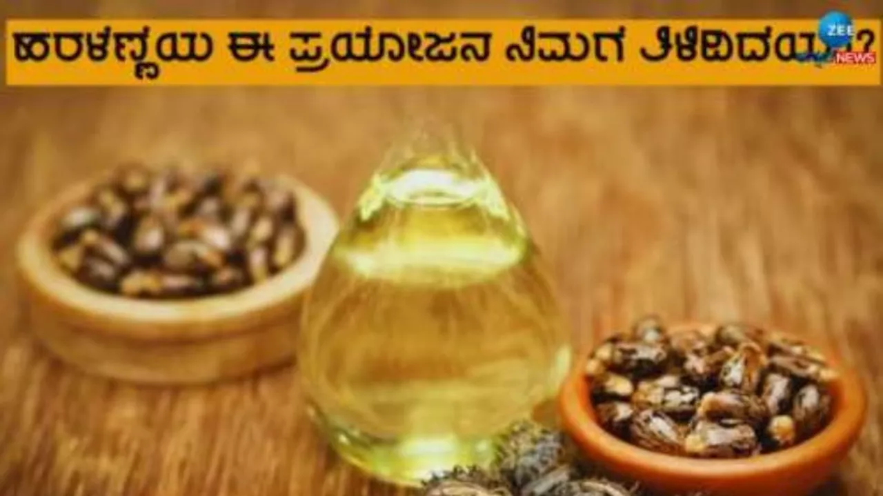 Castor Oil Benefits