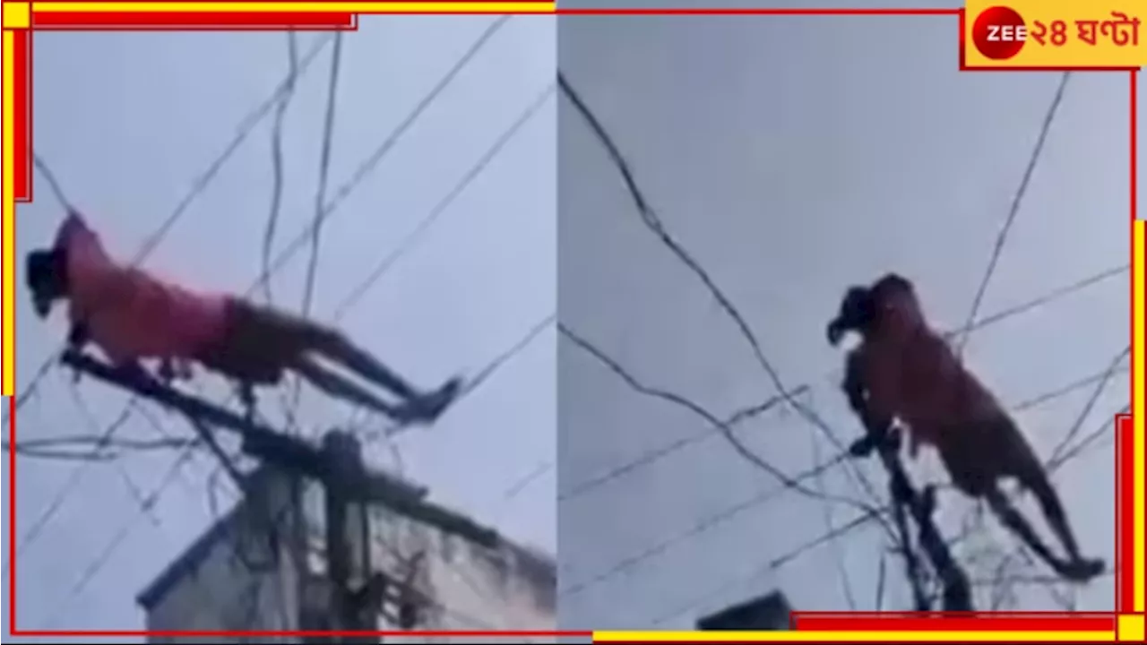 Drunk Man on Electric Pole: মদ খাওয়ার টাকা দাও! মা মুখ ফেরানোয় ছেলে রাগে সটান ইলেকট্রিক তারের উপর...