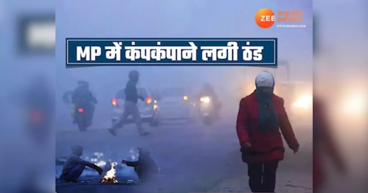 MP Weather: भोपाल, उज्जैन, इंदौर में ठंड का कहर, घने कोहरे के बीच इन जिलों में शीतलहर की चेतावनी