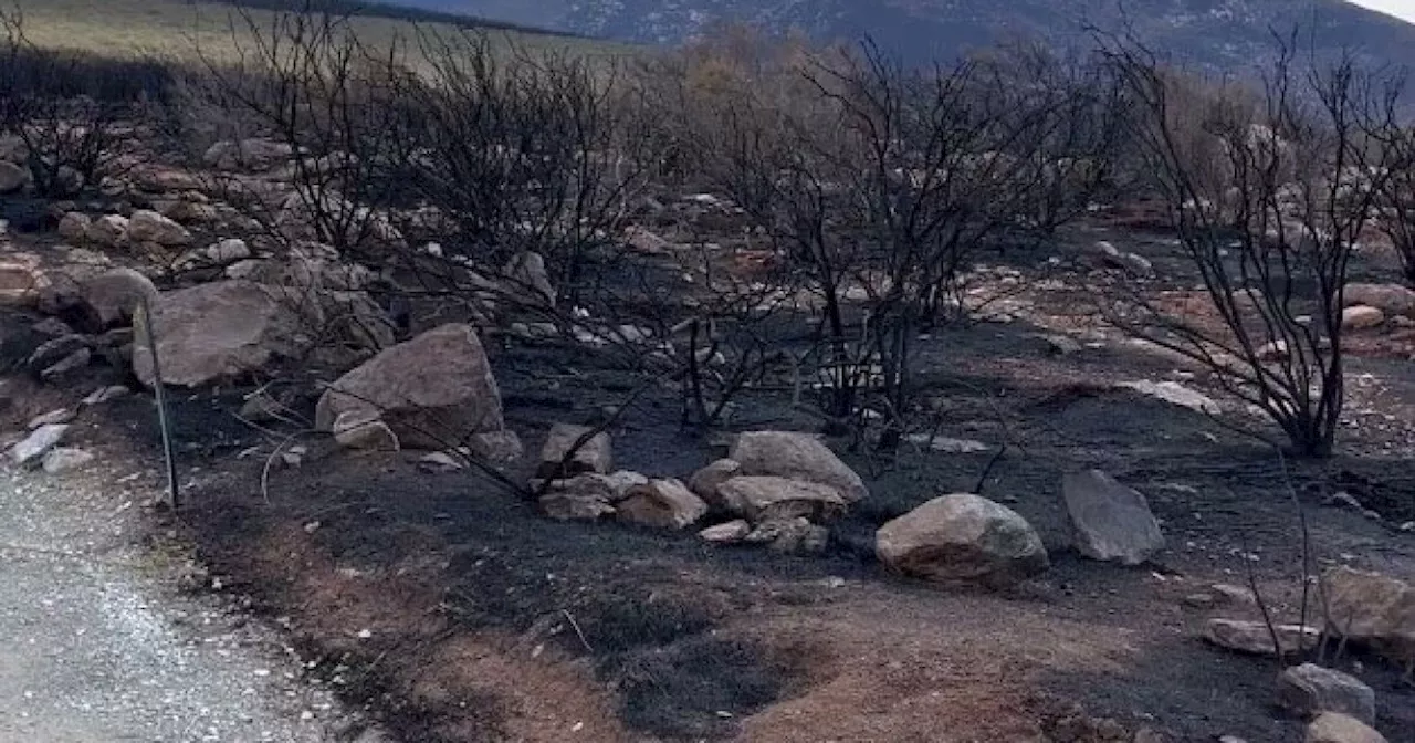 Border 2 Fire in San Diego County 100% Contained, Evacuation Orders Lifted