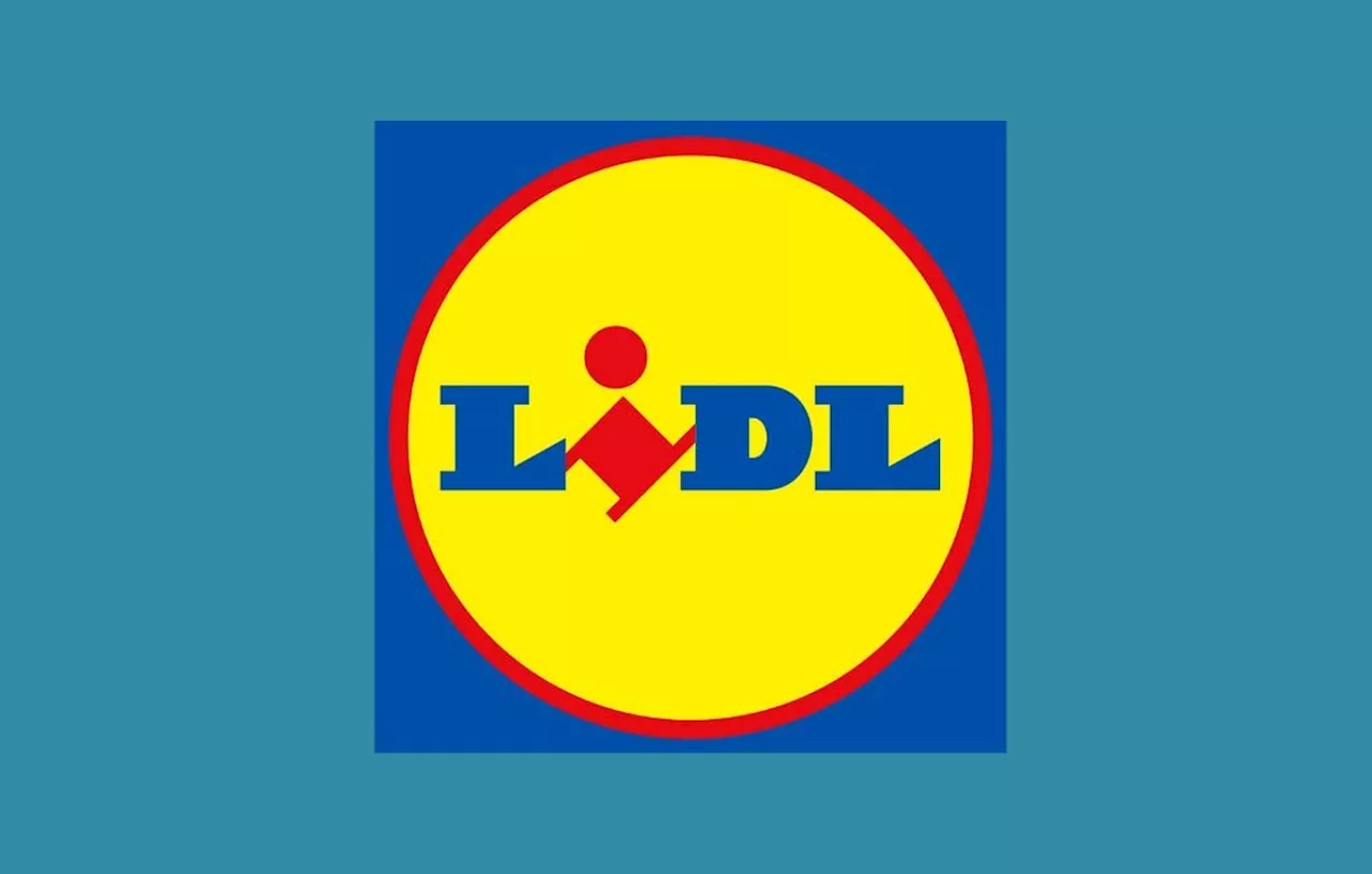 3 Vestes Lidl à prix imbattables : Offres spéciales à ne pas manquer