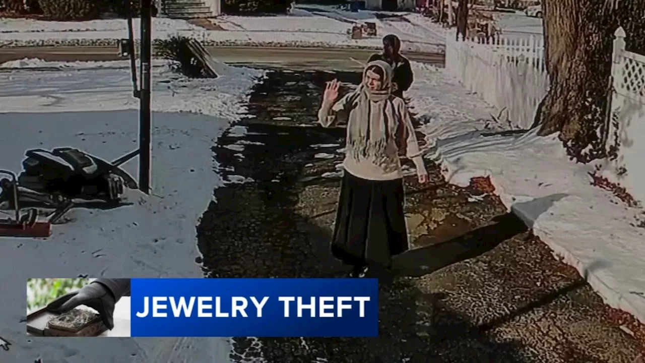 Distraction and Deception: Police Seek Group of Women Accused of Jewelry Heist