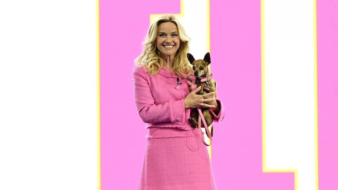 Reese Witherspoon Dishes on Casting for 'Legally Blonde' Prequel Series 'Elle'