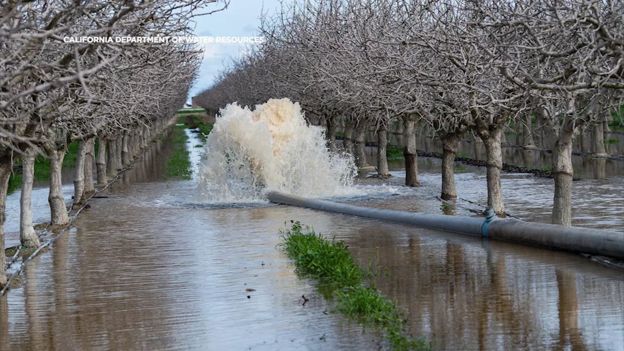 Trump Executive Order Seeks Control of California's Water System