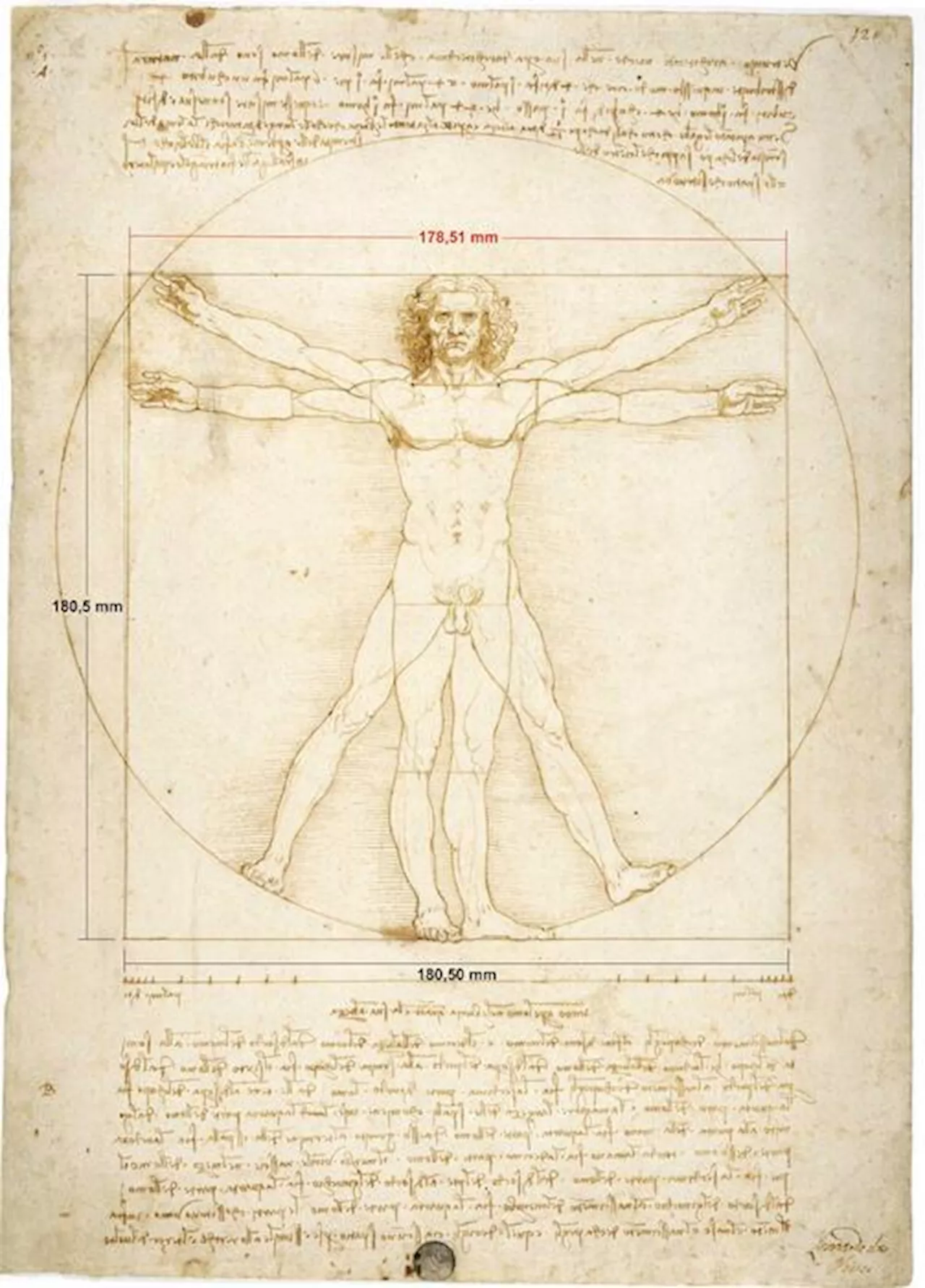 Corpi moderni. La costruzione del corpo nella Venezia del Rinascimento