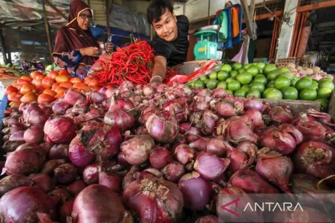 Harga Bawang Merah Rp45.000 Per Kilogram