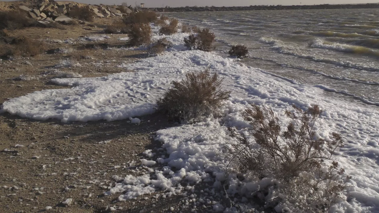 Harmful 'Forever Chemicals' Found at Record Levels in New Mexico Wildlife