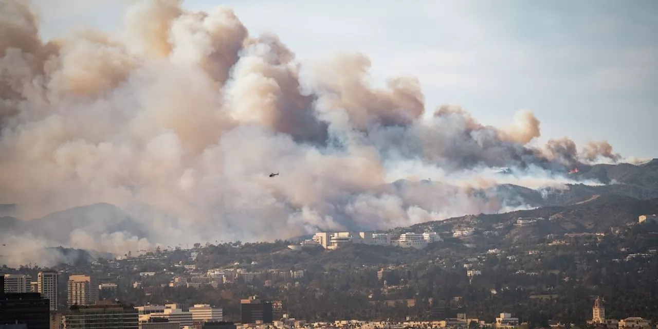 Wildfire Smoke May Be Linked to Dementia