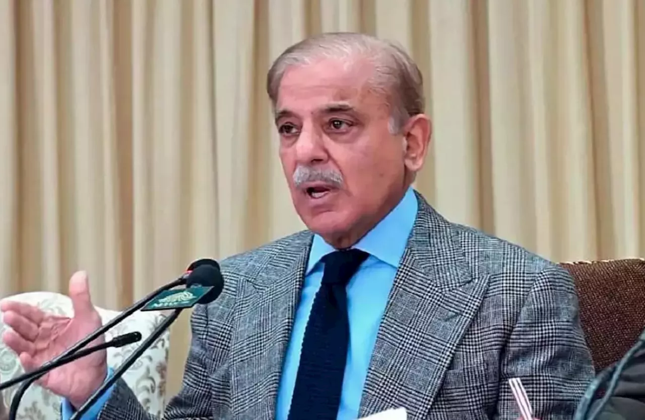 PM Shehbaz offers to form parliamentary committed to PTI