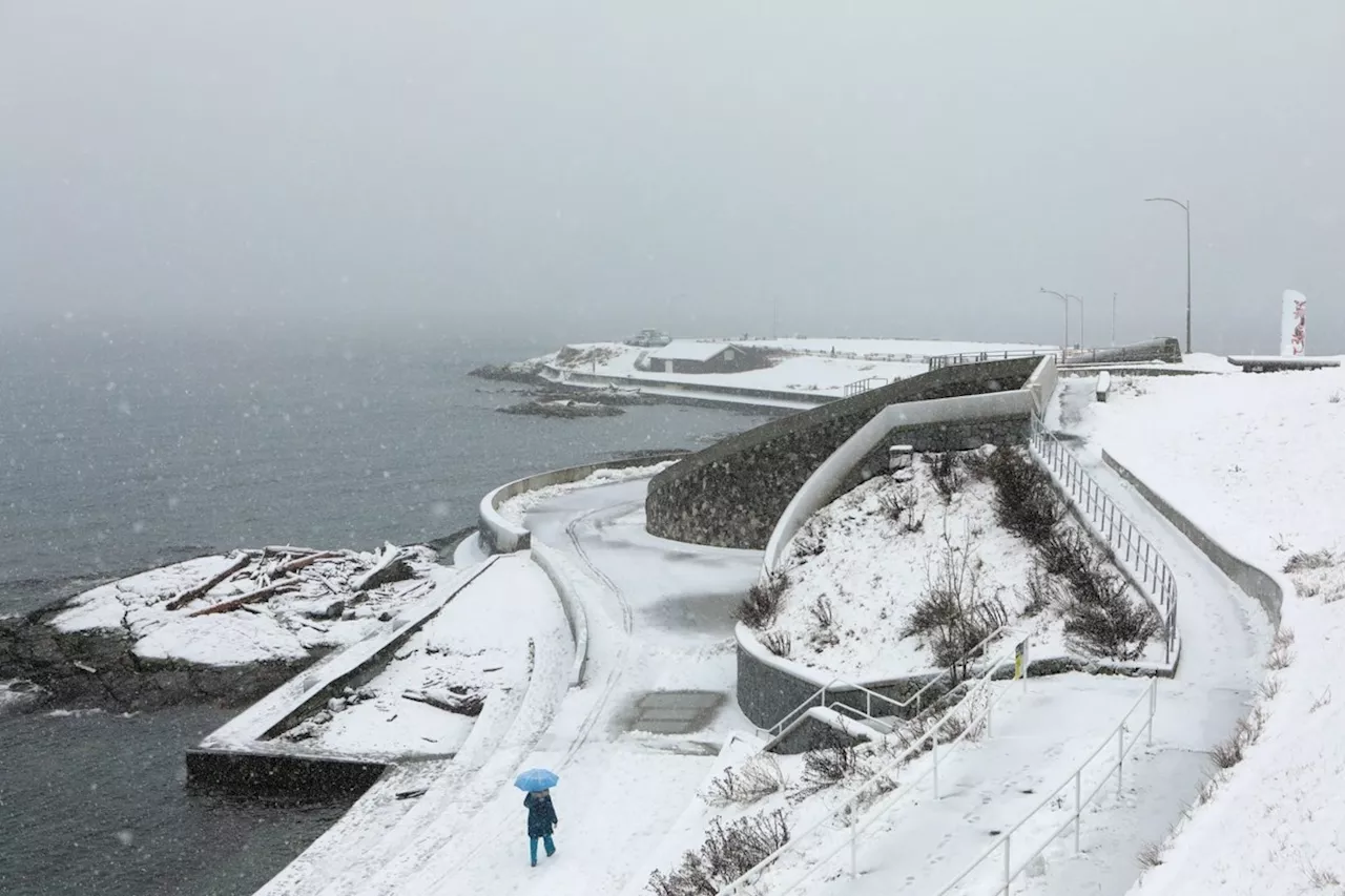 Wintry conditions expected along BC's south coast this week