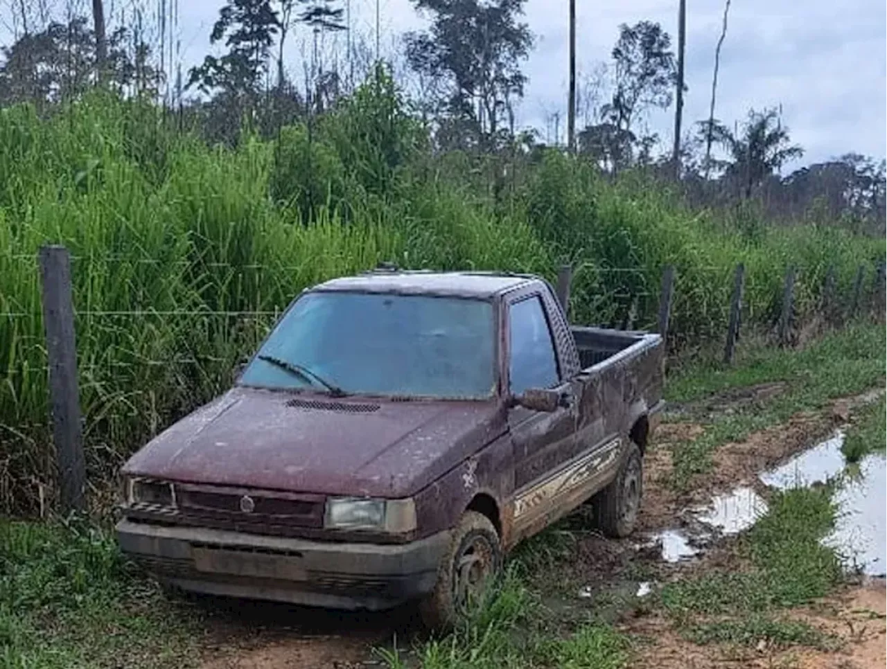 Mortes em Conflitos Agrários Amacro: Violência e Impunidade Na Expansão da Agropecuária