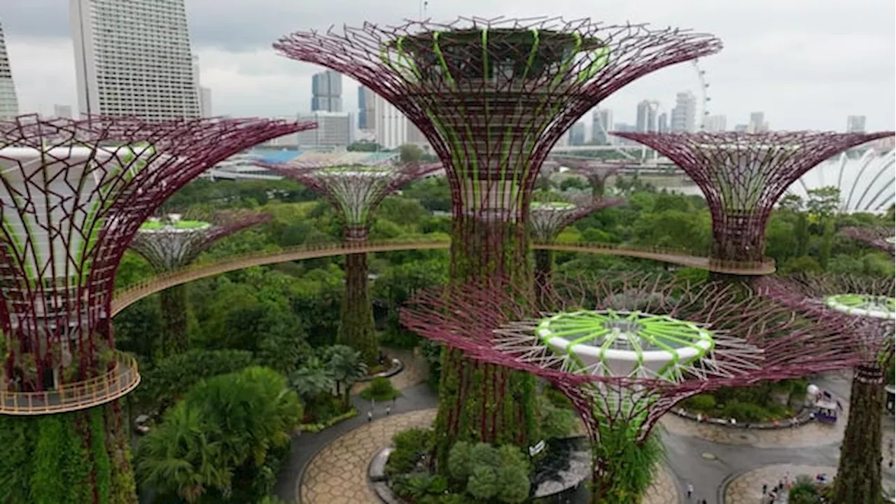 Singapore's Green Revolution: Building a Lush Urban Oasis