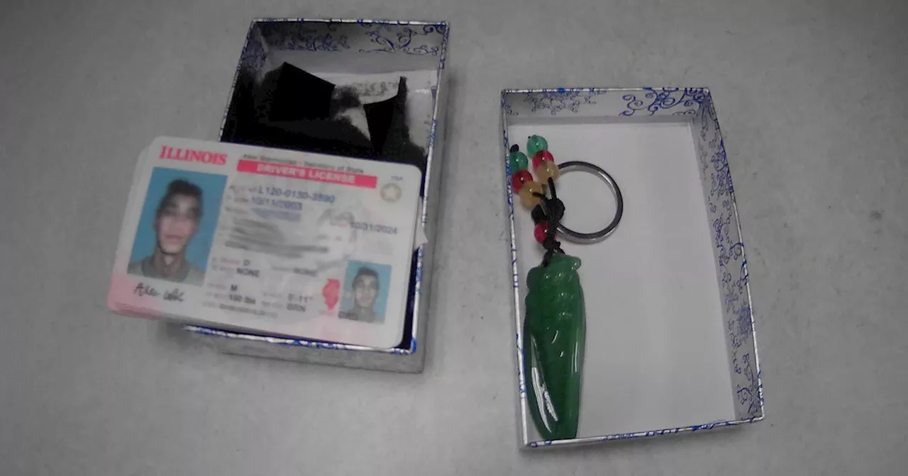 Nearly 1,000 Fake IDs Confiscated at Chicago O'Hare Airport