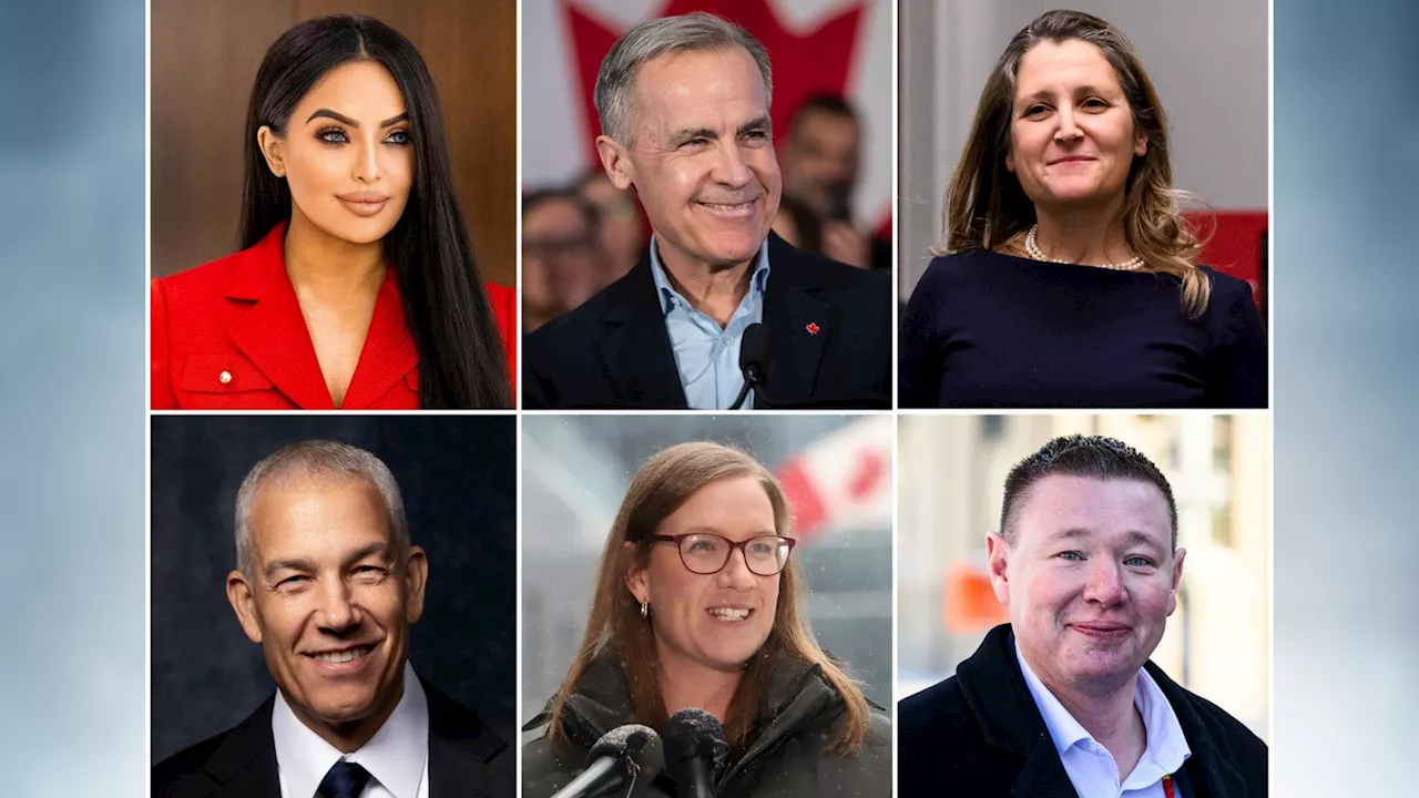 Liberal Leadership Race Heats Up as Candidates Confirm