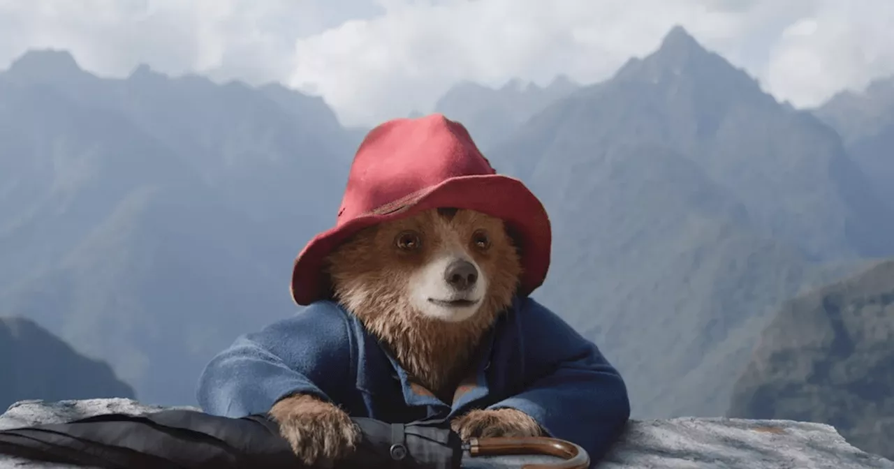 Paddington in Peru Popcorn Bucket and Drink Now Available at AMC Theatres