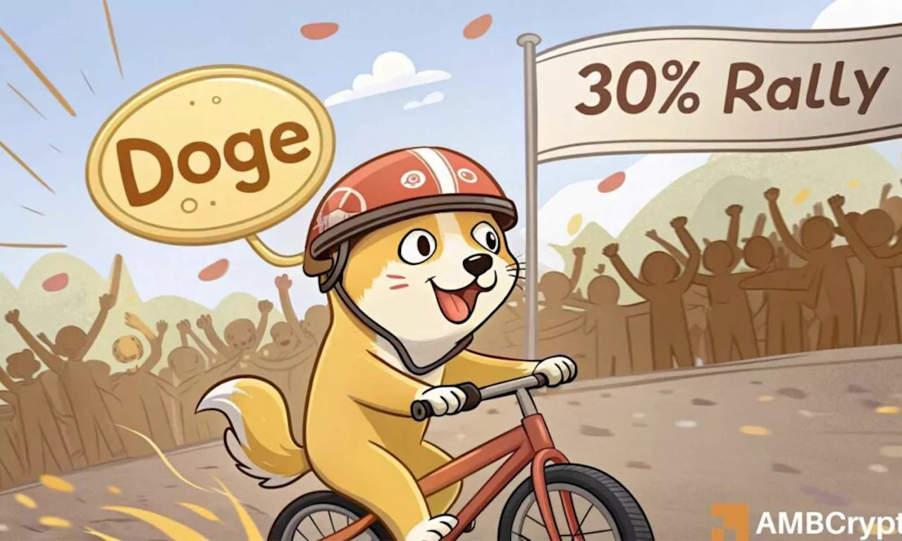 DOGE Shows Signs of Bullish Reversal: On-Chain Metrics Point to Potential Price Surge