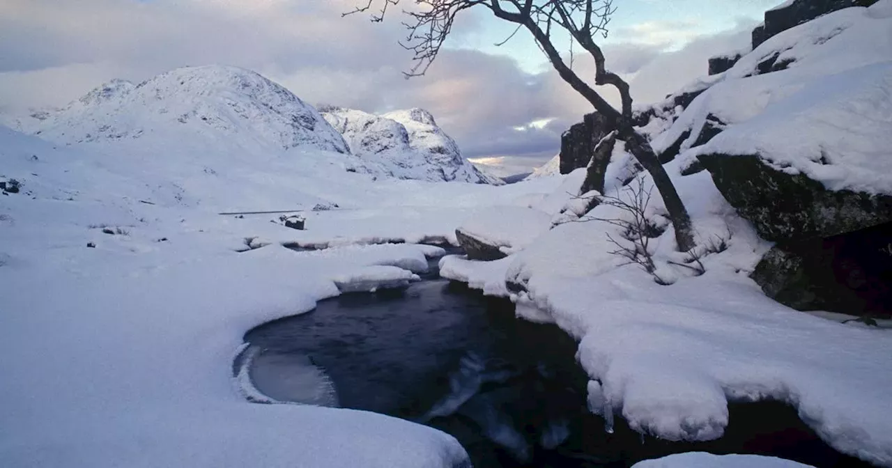 Can You Spot the Snow Leopard in This Frozen Scene?