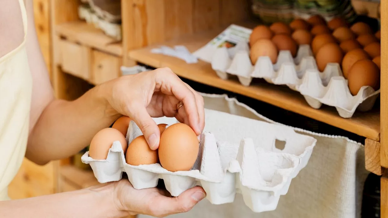 Les oeufs, alliés pour une santé de fer