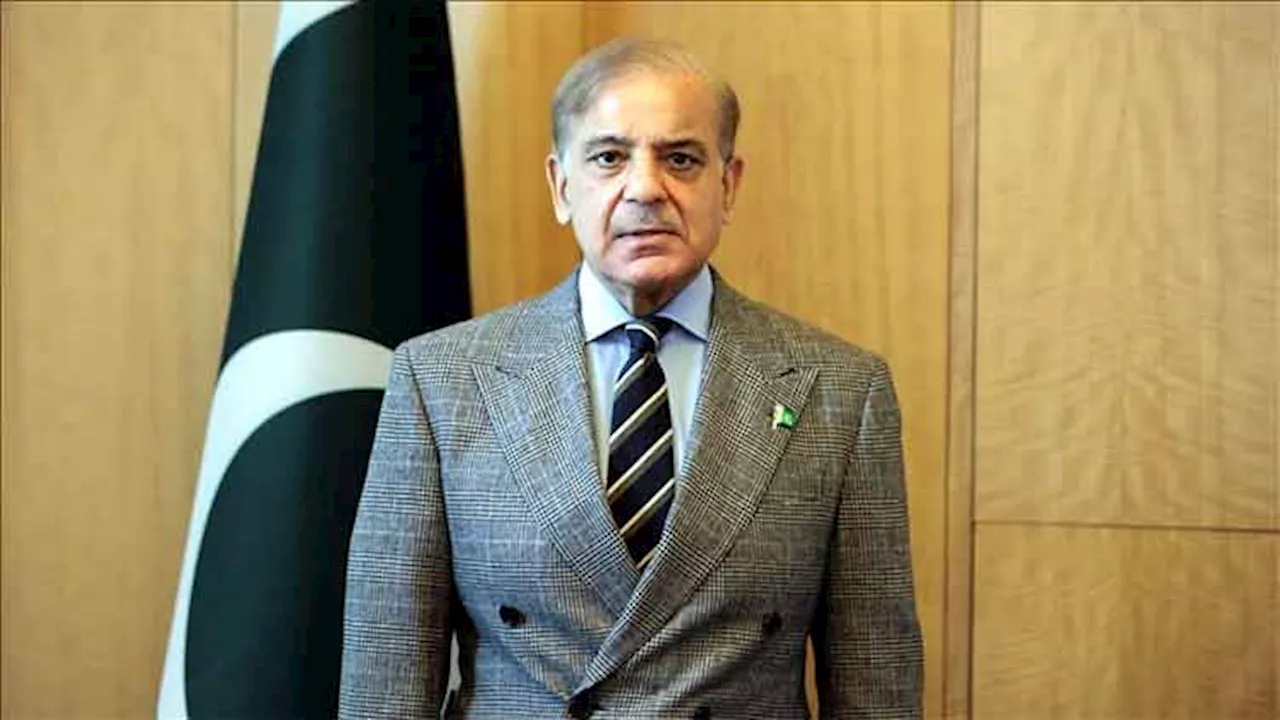 PM Shehbaz expresses grief over tragic midair accident in Washington DC