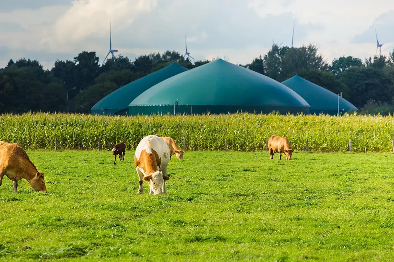 Moeve desarrollará 30 plantas de biometano en España con una inversión acumulada de 600 millones