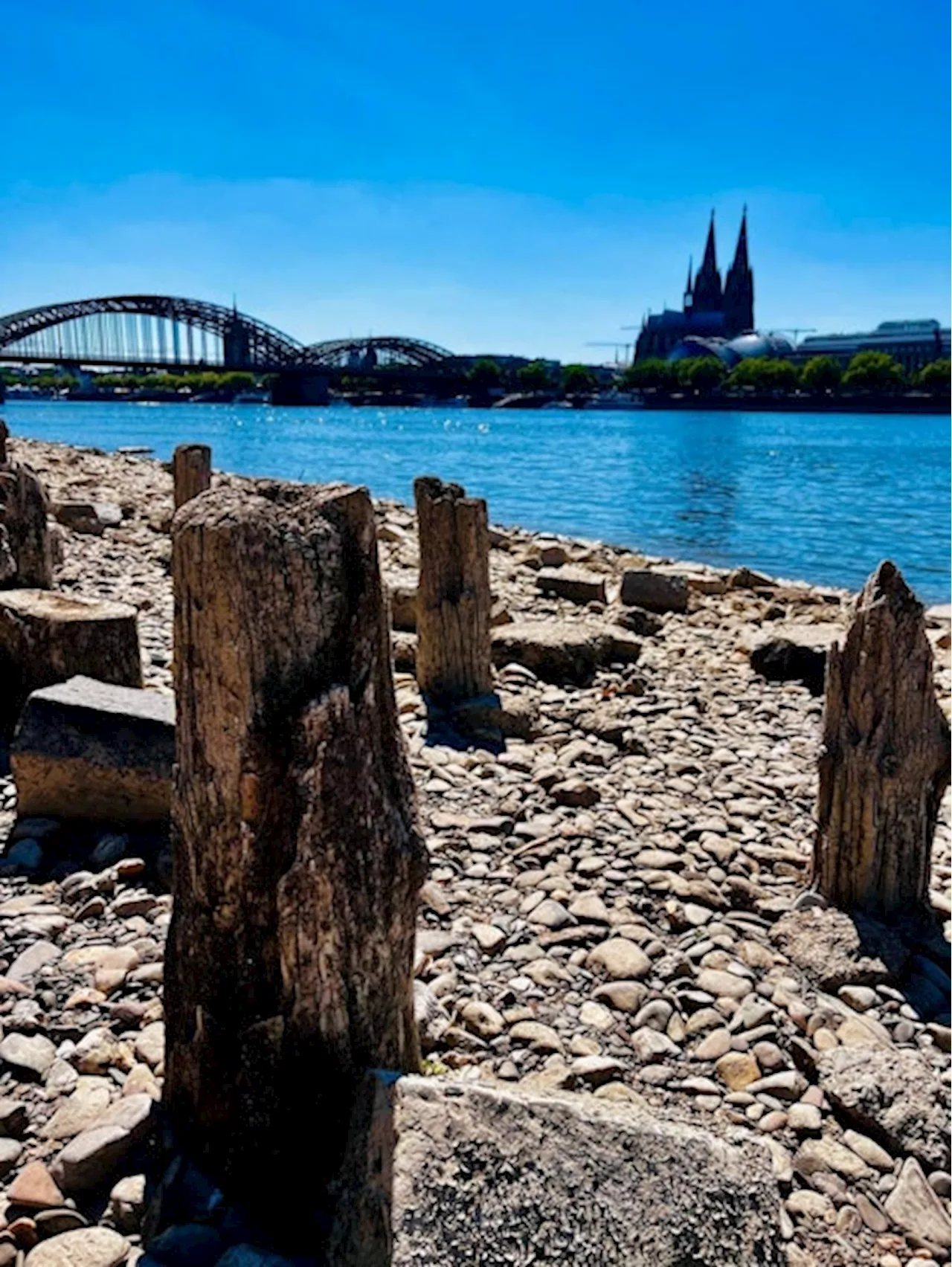 Zwei neue Brücken für Köln: Was die wenigsten wissen