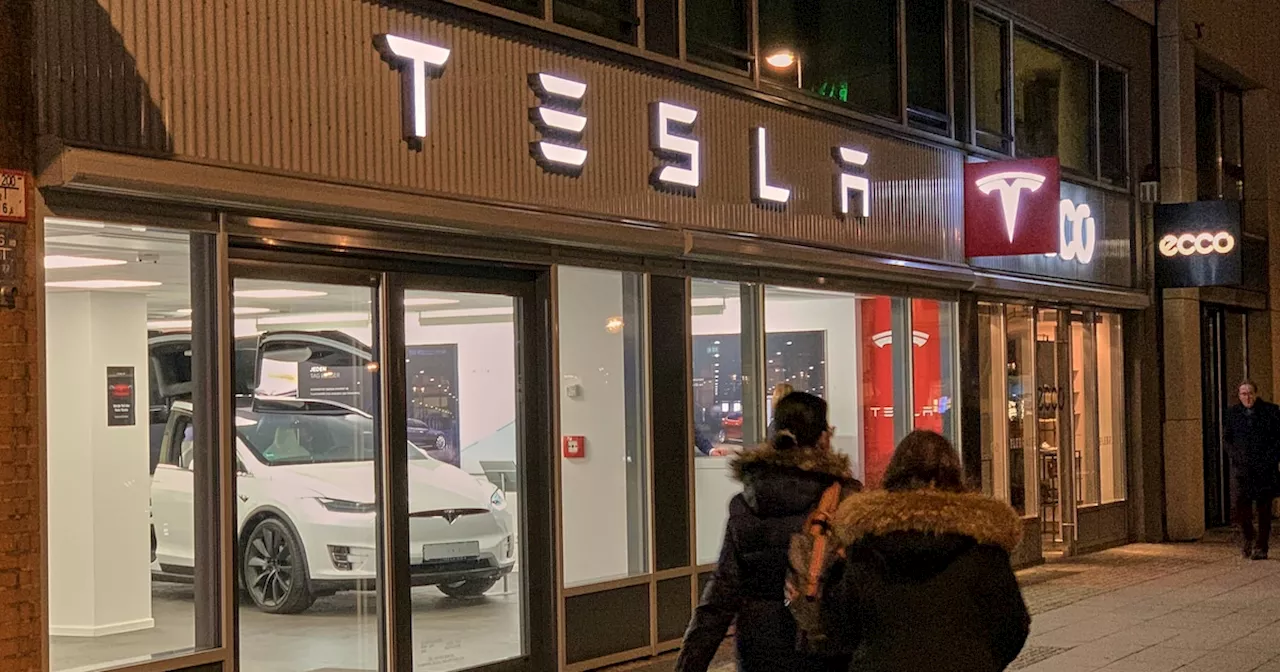 Teslas Image leidet unter Elon Musks Aktivismus