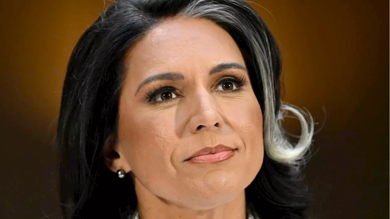 Gabbard Defends Loyalty to Law During Senate Confirmation Hearing