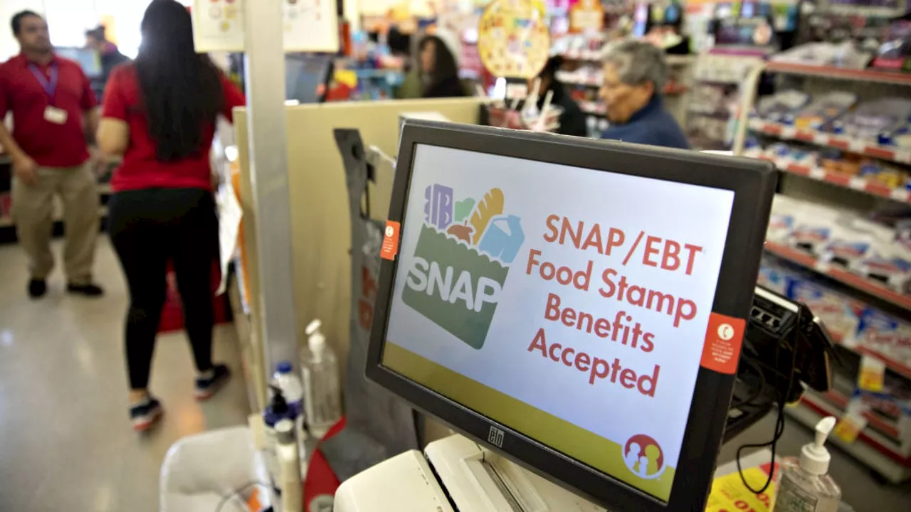 Trump's Funding Freeze Temporarily Blocked: What Programs Are Safe?