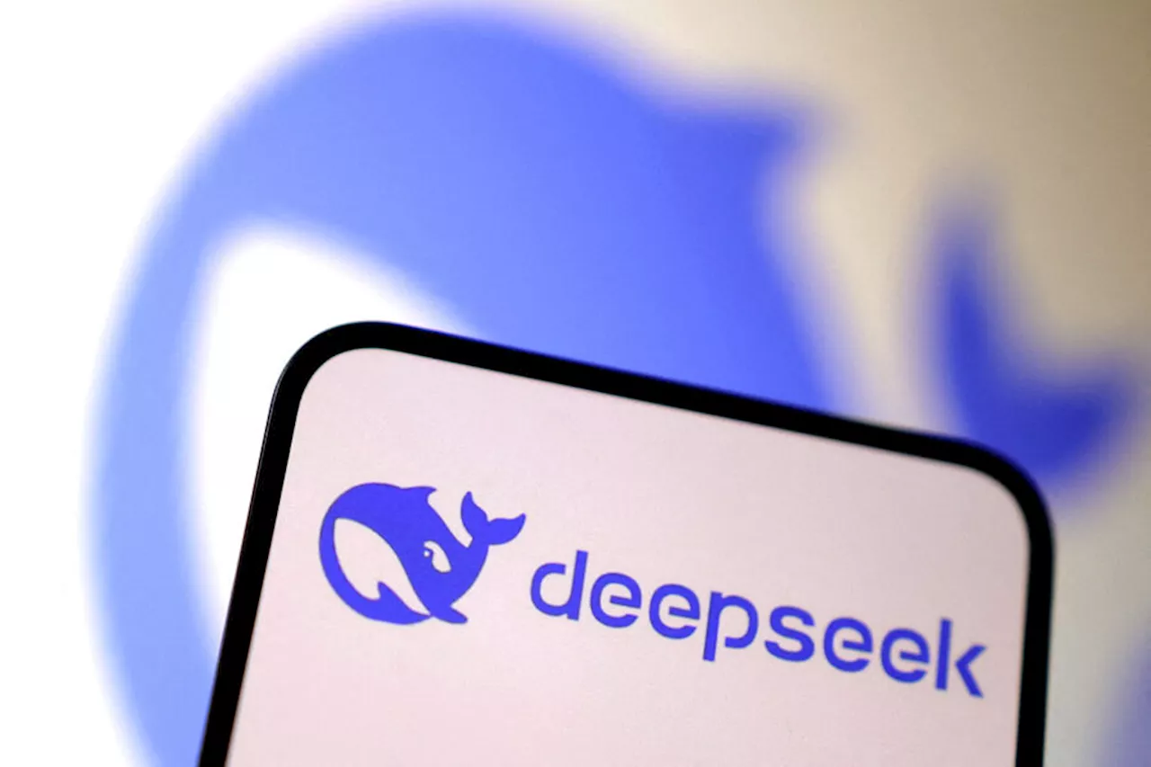 Страна ЕС потребовала у DeepSeek информацию об использовании данных пользователей