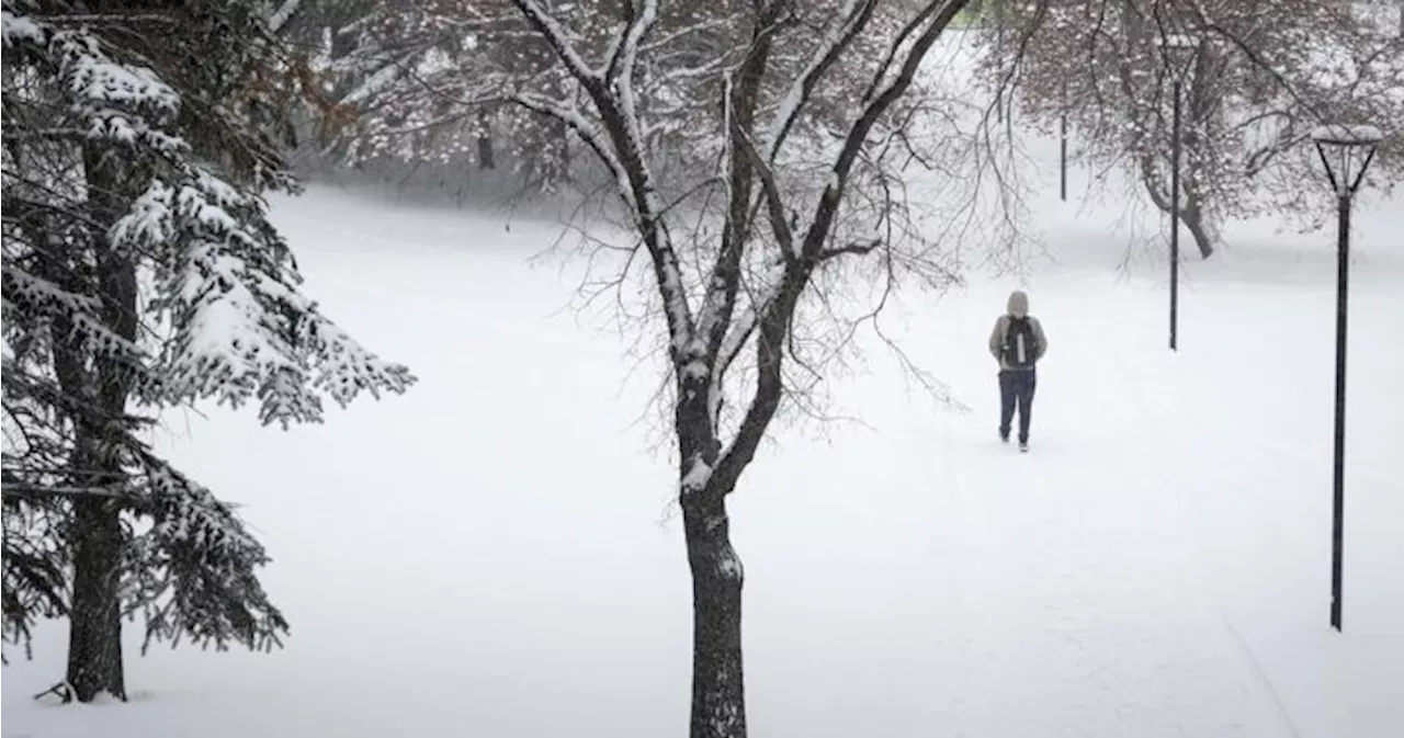 Alberta Brace for Extreme Cold Snap