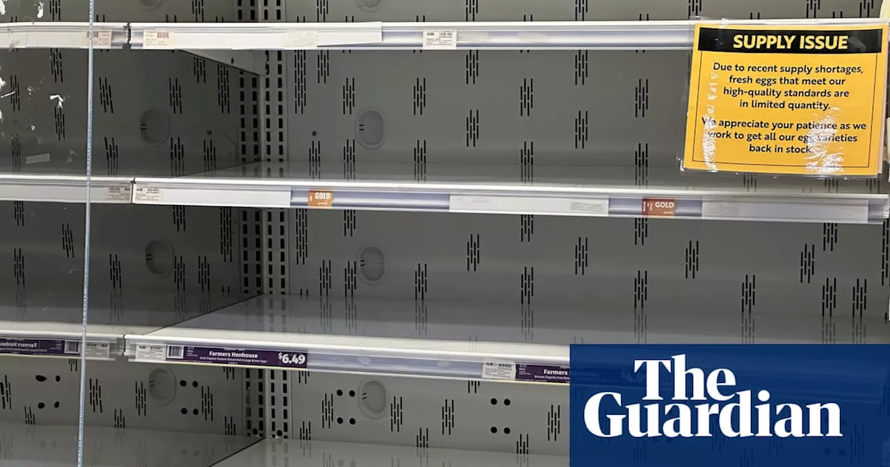 Australia’s egg shortage: why are consumers still scrambling six months after the bird flu outbreaks?