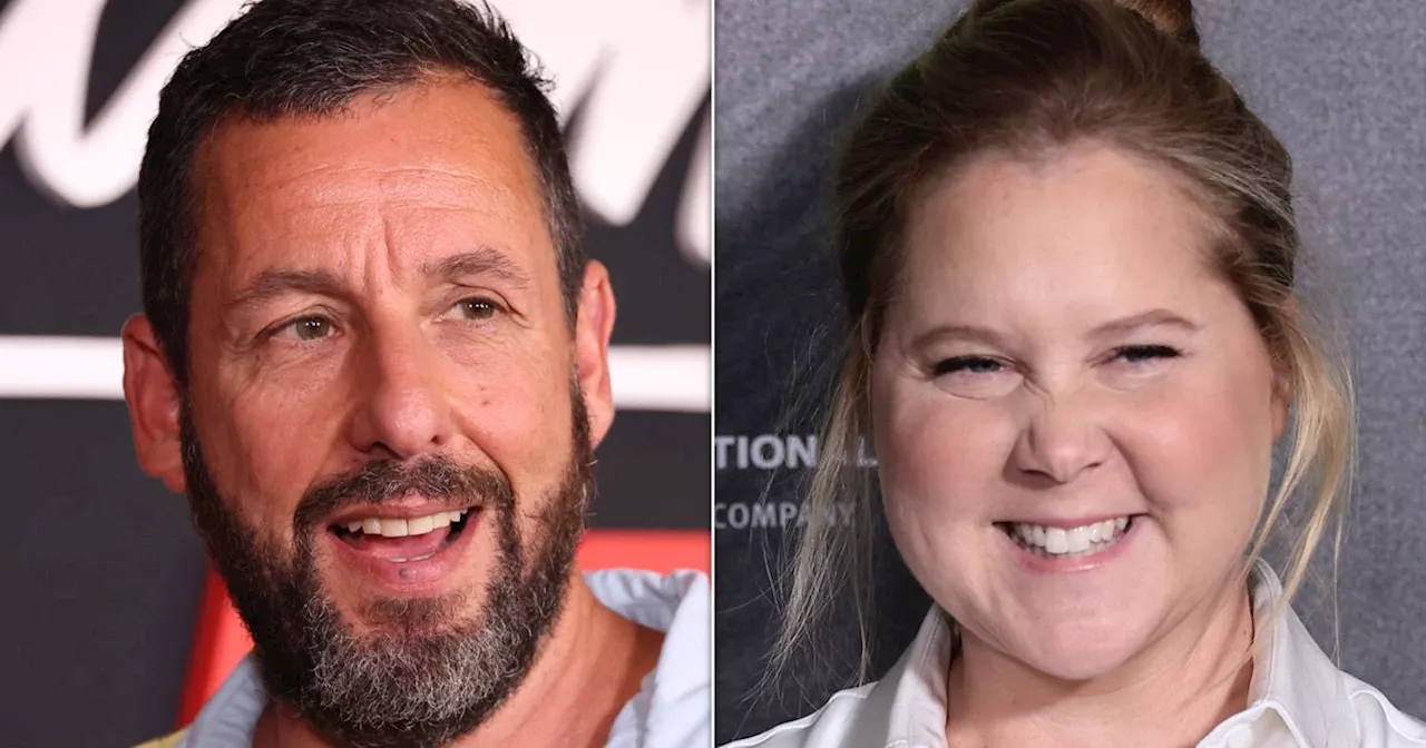 Amy Schumer Jokes About Adam Sandler's Casual Wardrobe After California Wildfires