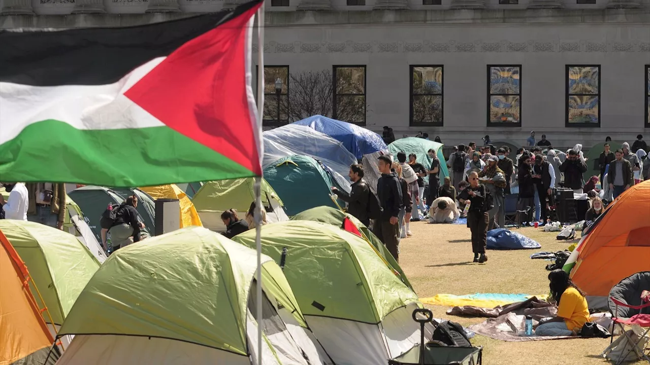 Trump deportará a los estudiantes extranjeros en protestas propalestinas