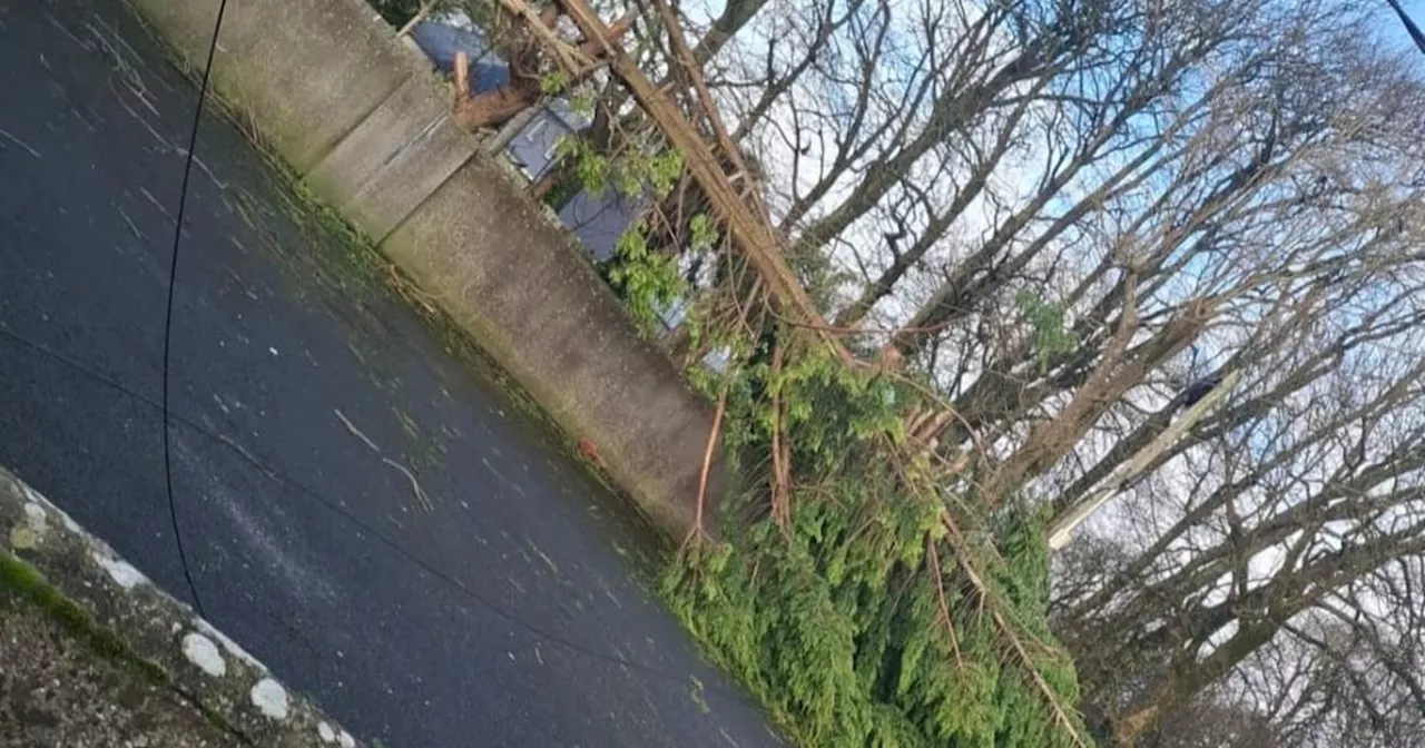 Electric wheelchair user in 'in agony' with cold on day 6 of no electricity