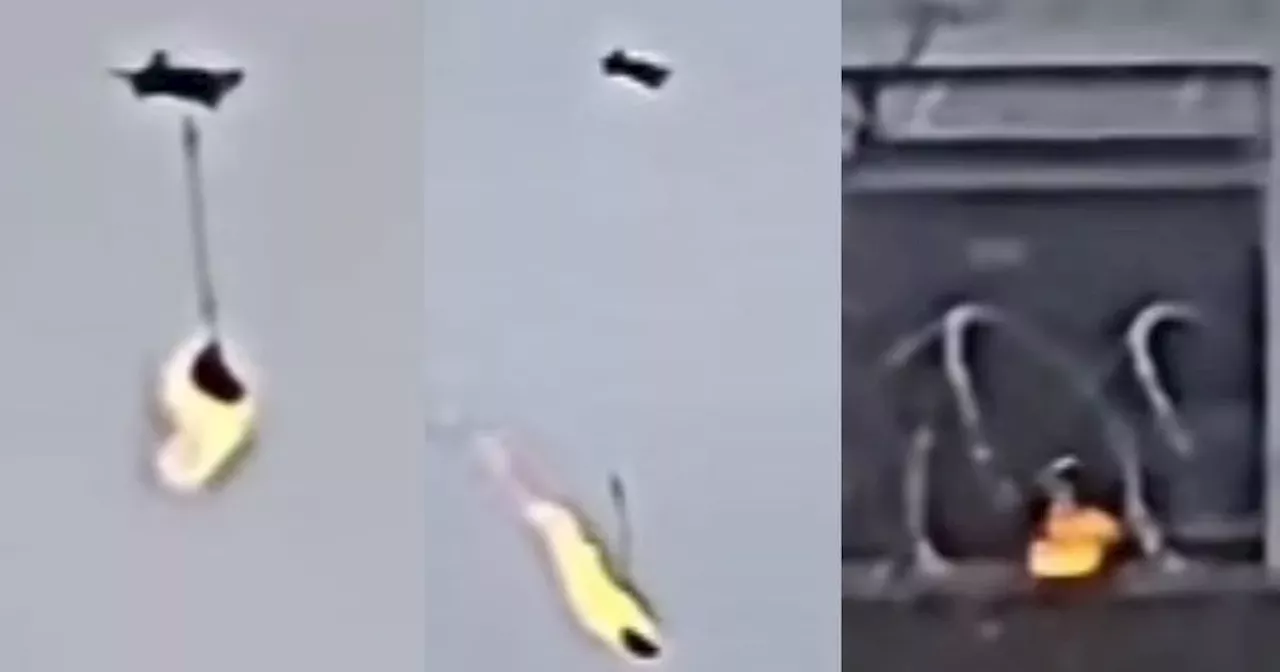 Flaming Drone Package Dropped into Mountjoy Prison in Shocking Video