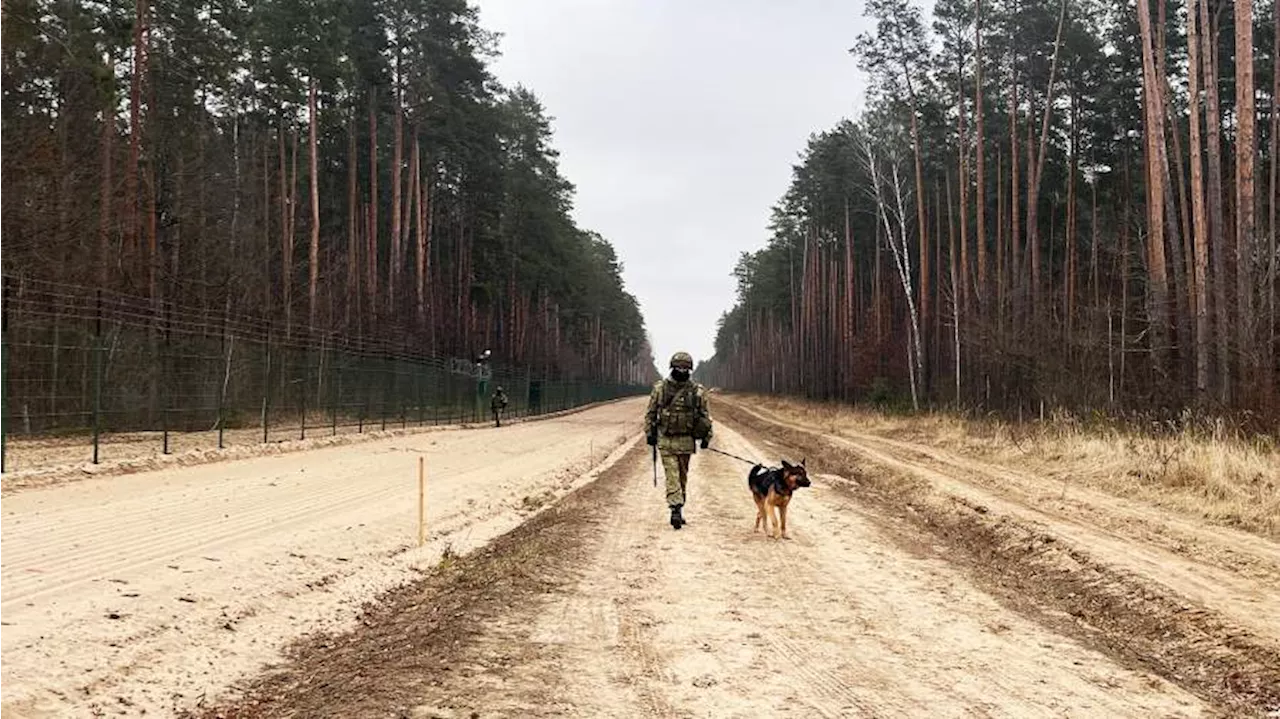 Новая Гута: пункт пропуска на белорусско-украинской границе в условиях закрытия