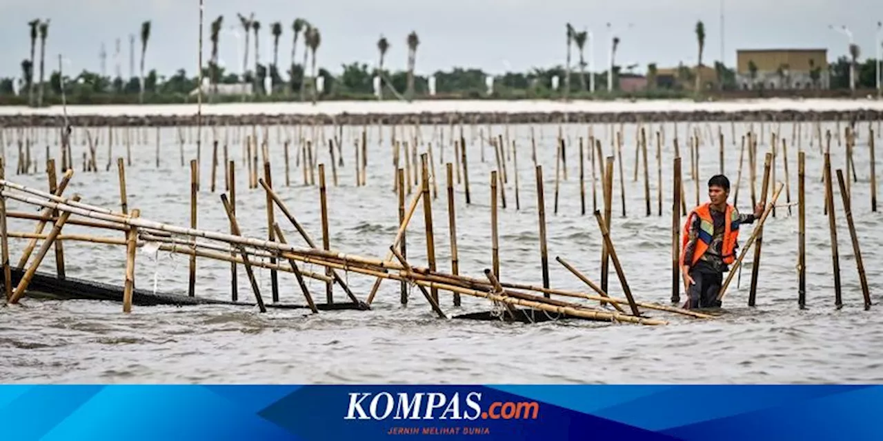 Nelayan Bongkar Pagar Laut Tanpa Izin di Tangerang