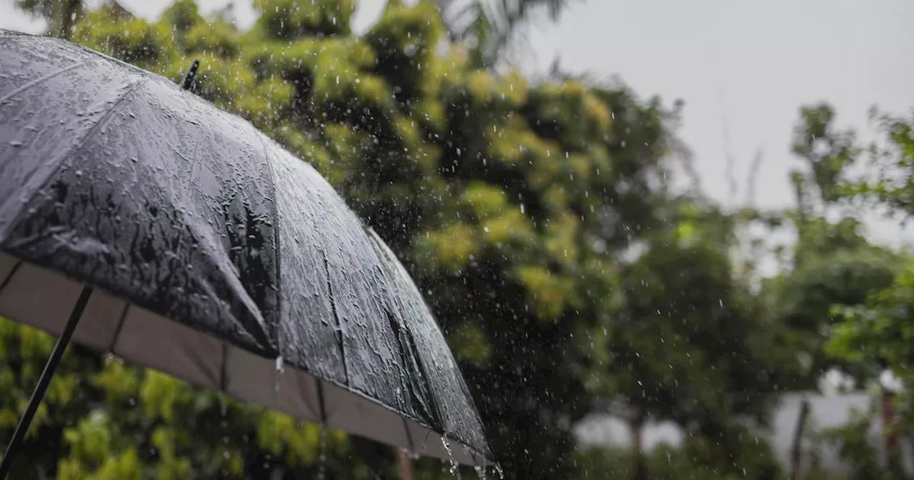 Atmospheric river storm to bring rain to Bay Area after mostly dry January