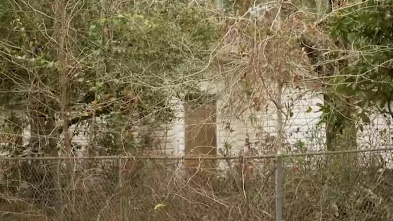 Abandoned Property Creates Hassle and Expense for Houston Homeowner