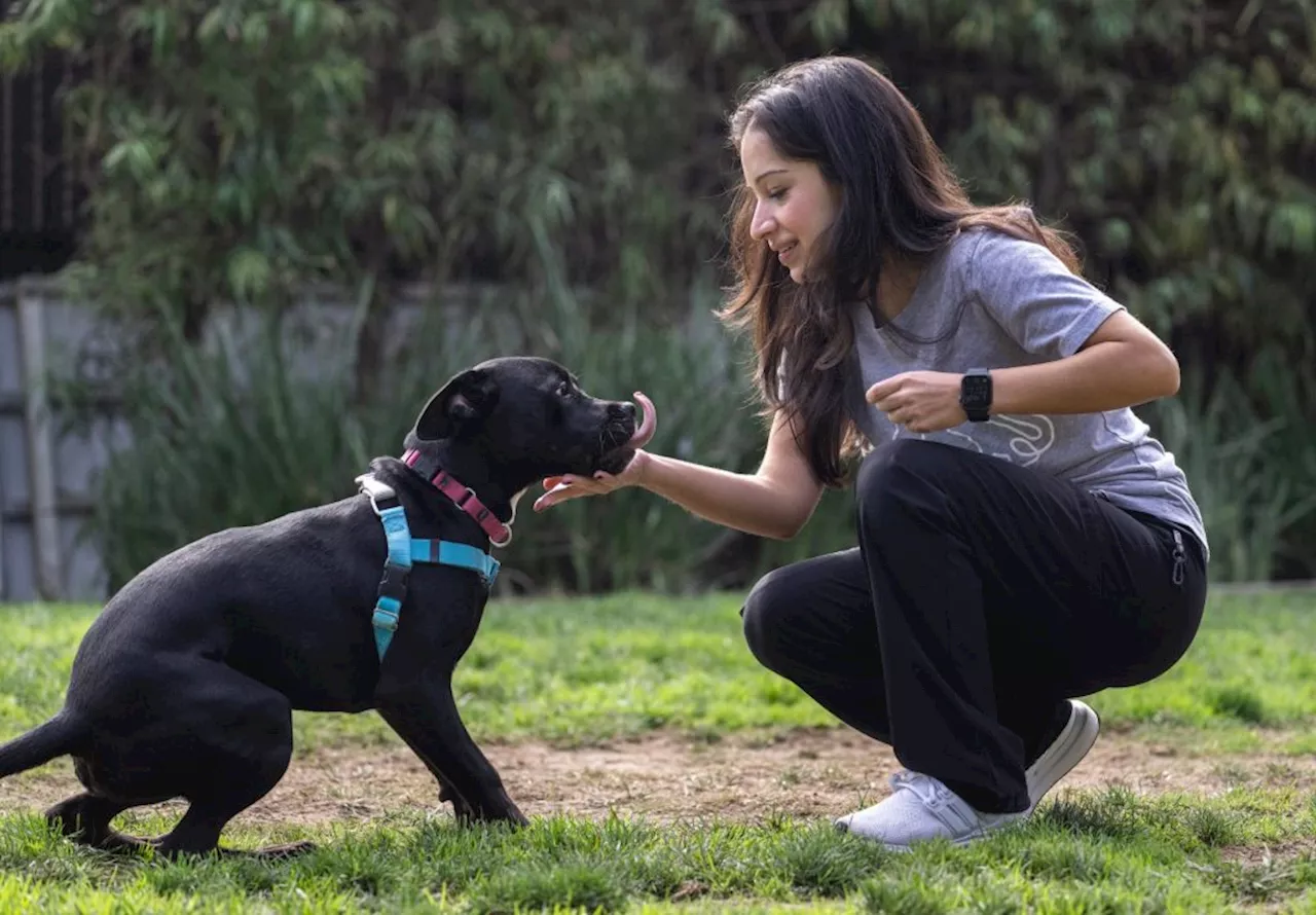 Bonds between humans and pets create health and happiness, research shows